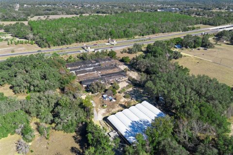 Terrain à Apopka, Floride № 2115374