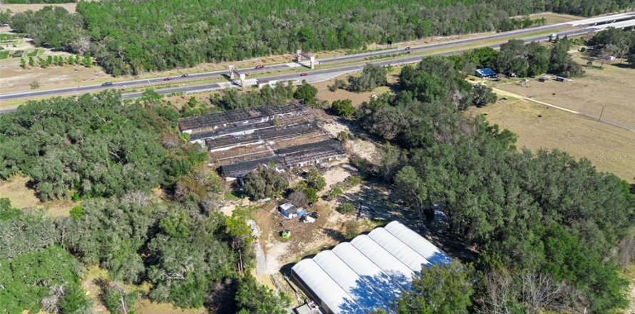Land in Apopka, Florida № 2115374
