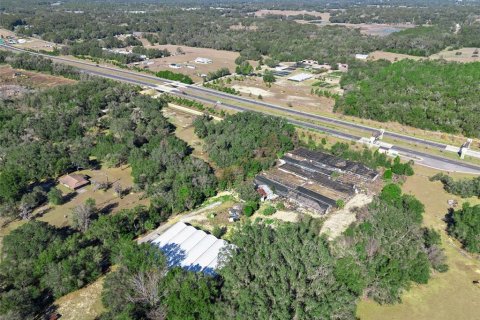 Land in Apopka, Florida № 2115374 - photo 12