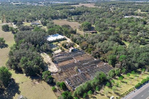 Land in Apopka, Florida № 2115374 - photo 4