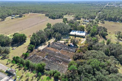 Land in Apopka, Florida № 2115374 - photo 11