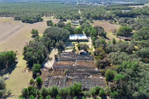 Land in Apopka, Florida № 2115374 - photo 5