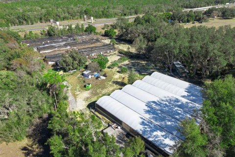 Land in Apopka, Florida № 2115374 - photo 7
