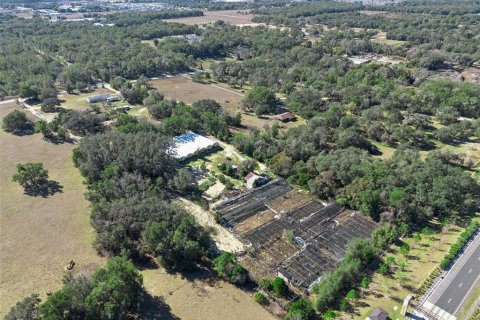 Land in Apopka, Florida № 2115374 - photo 9