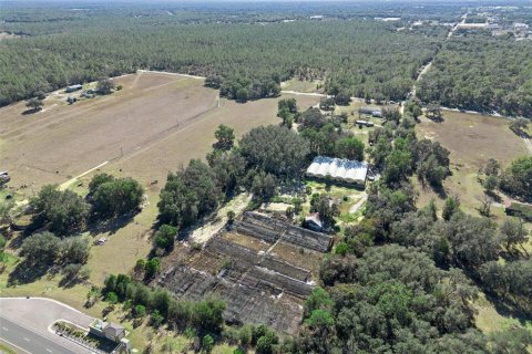 Land in Apopka, Florida № 2115374 - photo 10