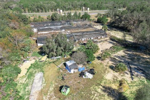 Land in Apopka, Florida № 2115374 - photo 3