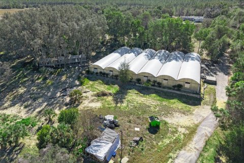 Land in Apopka, Florida № 2115374 - photo 8