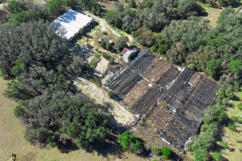 Land in Apopka, Florida № 2115374 - photo 2