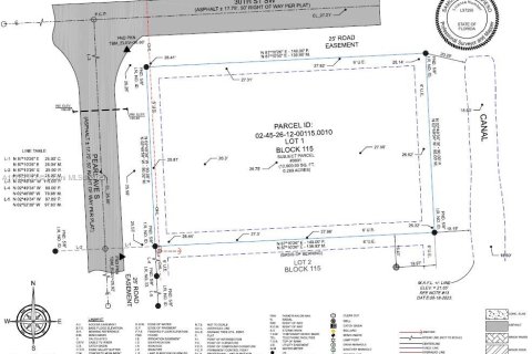 House in Lehigh Acres, Florida 3 bedrooms № 1935399 - photo 11