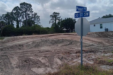 House in Lehigh Acres, Florida 3 bedrooms № 1935399 - photo 16