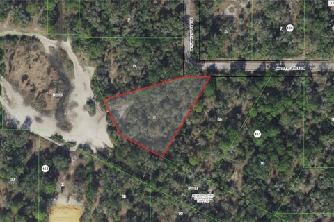 Land in Crystal River, Florida № 2162490 - photo 5