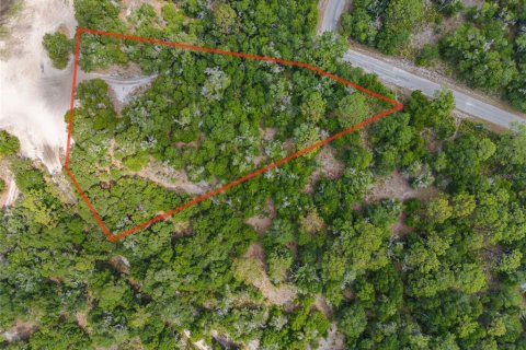 Land in Crystal River, Florida № 2162490 - photo 2