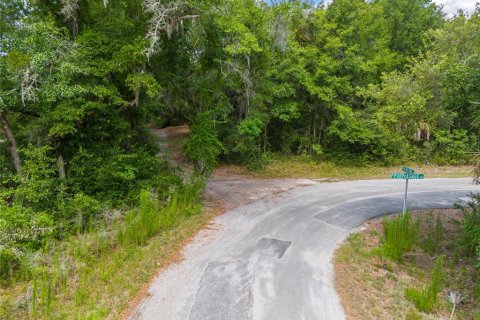 Land in Crystal River, Florida № 2162490 - photo 3