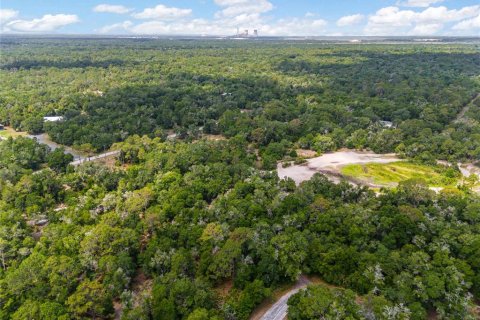 Land in Crystal River, Florida № 2162490 - photo 4