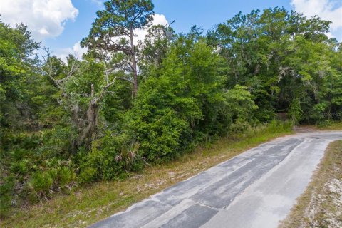 Land in Crystal River, Florida № 2162490