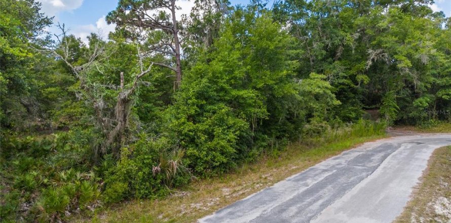 Land in Crystal River, Florida № 2162490