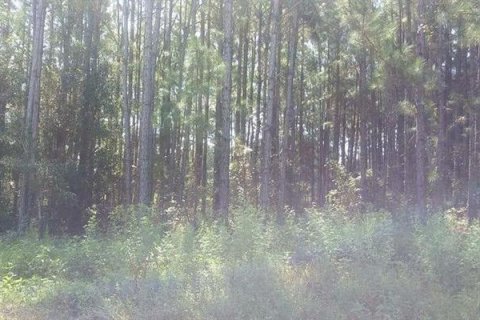 Снять в аренду земельный участок в Полк-Сити, Флорида № 219557 - фото 1