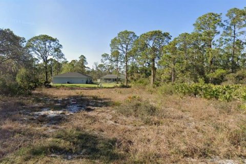 Land in Lake Placid, Florida № 2378056
