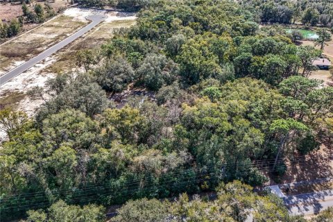 Commercial property in Apopka, Florida 165.55 sq.m. № 1522207 - photo 11