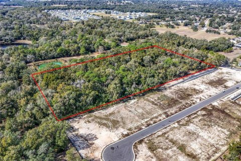 Commercial property in Apopka, Florida 165.55 sq.m. № 1522207 - photo 2