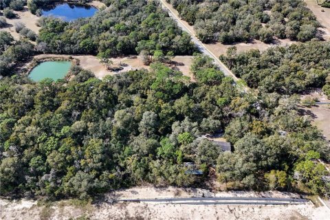 Commercial property in Apopka, Florida 165.55 sq.m. № 1522207 - photo 9