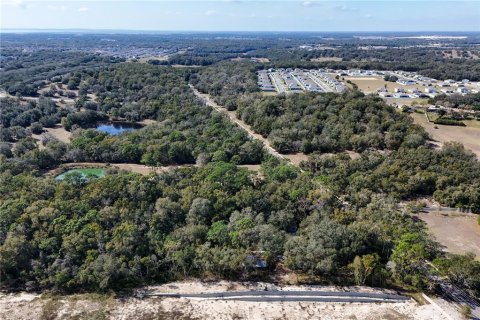 Commercial property in Apopka, Florida 165.55 sq.m. № 1522207 - photo 5