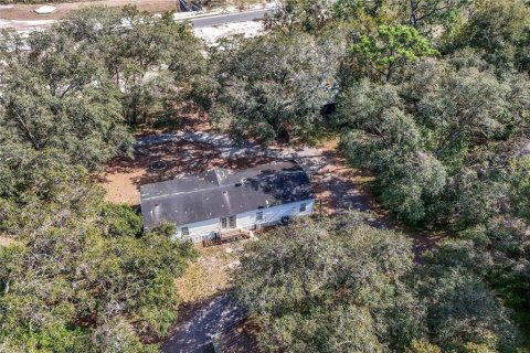 Commercial property in Apopka, Florida 165.55 sq.m. № 1522207 - photo 10