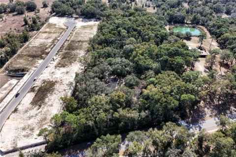 Commercial property in Apopka, Florida 165.55 sq.m. № 1522207 - photo 4