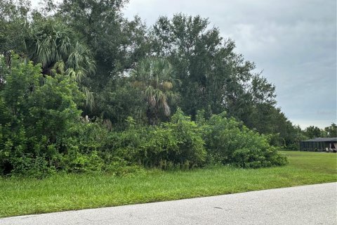 Land in Punta Gorda, Florida № 1913735 - photo 3