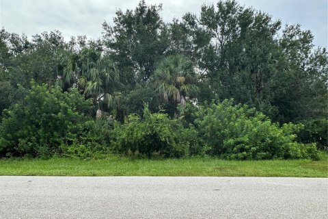 Land in Punta Gorda, Florida № 1913735 - photo 1