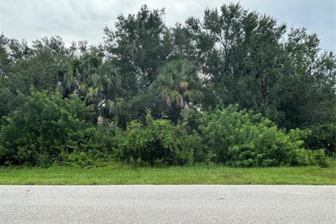 Land in Punta Gorda, Florida № 1913735 - photo 2
