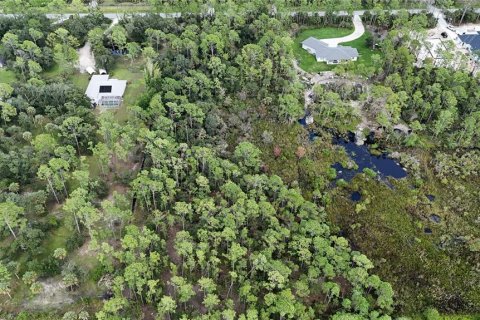 Land in North Port, Florida № 1917810 - photo 5