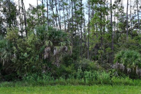 Land in North Port, Florida № 1917810 - photo 10