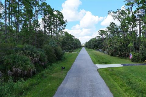 Land in North Port, Florida № 1917810 - photo 8
