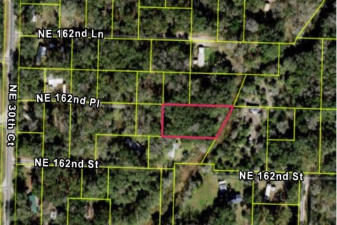 Land in Citra, Florida № 2165306