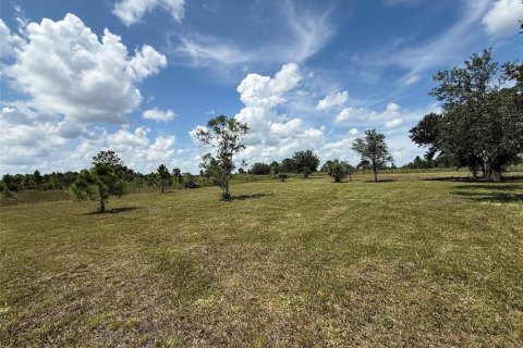 Land in Okeechobee, Florida № 2350033
