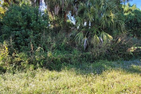 Land in North Port, Florida № 2329500