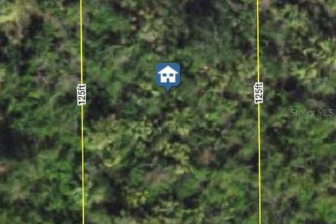Land in Port Charlotte, Florida № 2162640 - photo 2