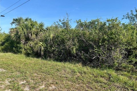 Land in Port Charlotte, Florida № 2162640