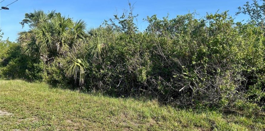 Land in Port Charlotte, Florida № 2162640