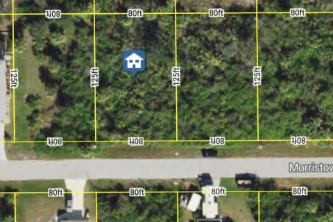 Land in Port Charlotte, Florida № 2162640 - photo 3