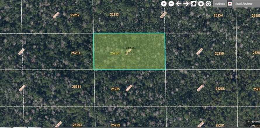 Land in Orlando, Florida № 2219214