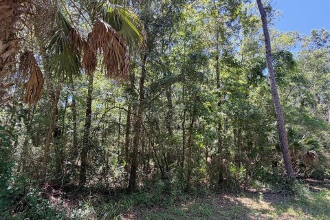 Land in Inglis, Florida № 2228198