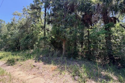 Terrain à vendre à Inglis, Floride № 2228198 - photo 5