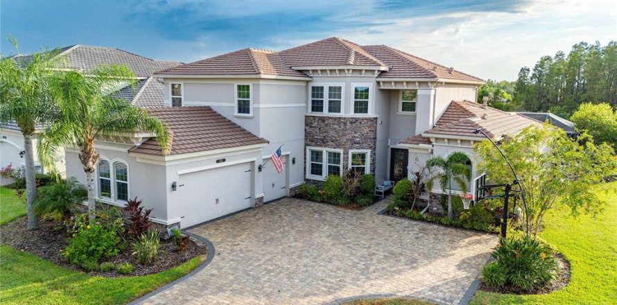 House in Wesley Chapel, Florida 6 bedrooms, 452.81 sq.m. № 2143969