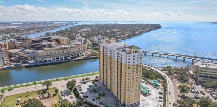 Condo in Tampa, Florida, 1 bedroom  № 2393772