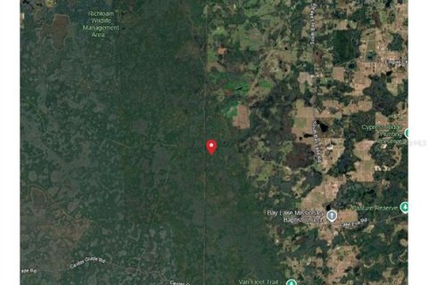 Land in Groveland, Florida № 2093598 - photo 2