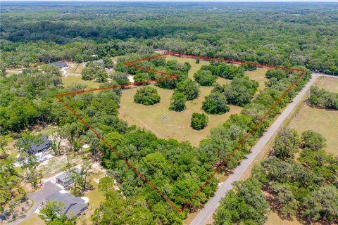 Land in Newberry, Florida № 2197130 - photo 7