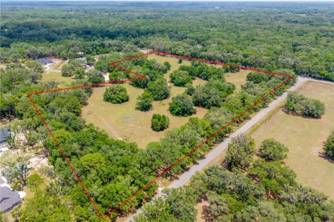 Land in Newberry, Florida № 2197130 - photo 6
