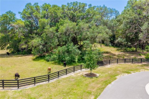 Land in Newberry, Florida № 2197130 - photo 21